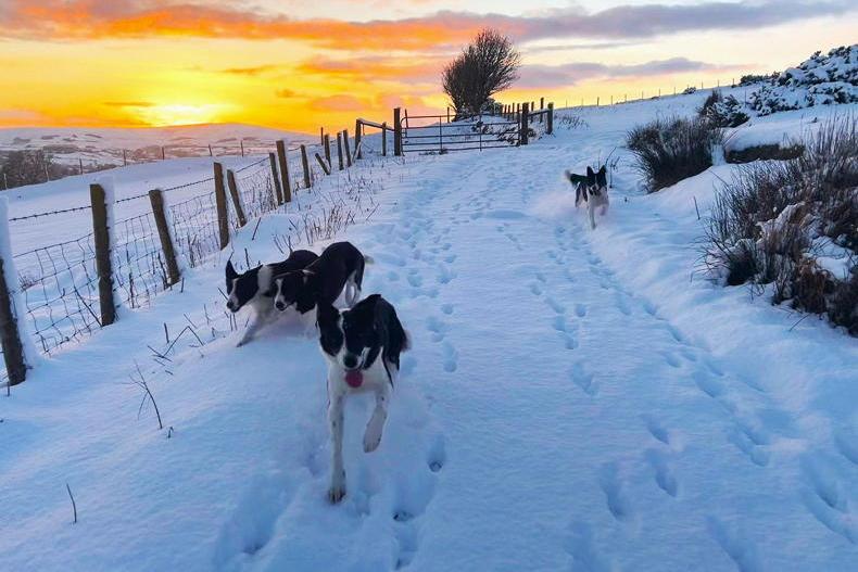 Farmer Writes: back to reality in a cold and wet January