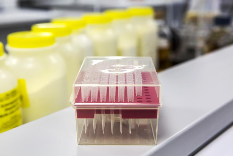 Priority must be to contain Wexford bluetongue outbreak – ICMSA