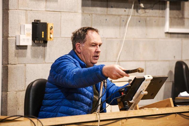 Watch: bluetongue outbreak doesn’t affect Saturday’s mart trade