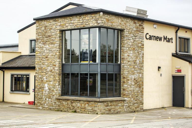 Farmers in Carnew sanguine about bluetongue case