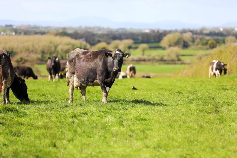 Five steps to stay in control in 2026