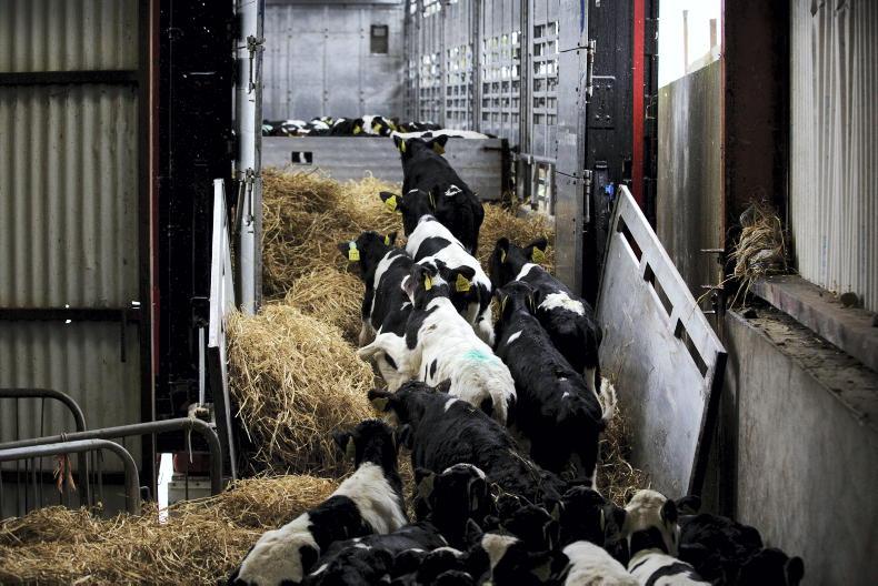 Bluetongue virus – quick action needed to curtail trade disruption