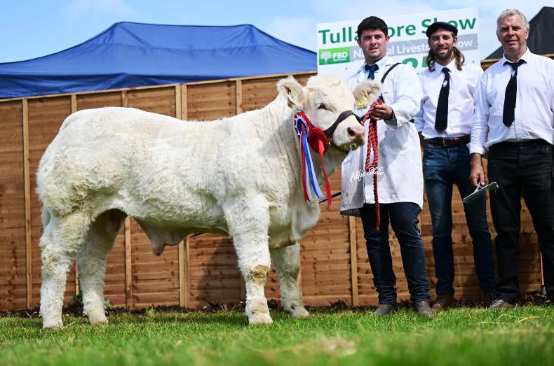 Charolais bull sells for five-figure sum in private deal