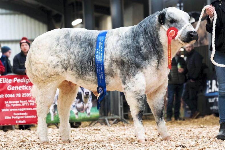 Will 2026 live up to the highs breeders experienced in 2025?