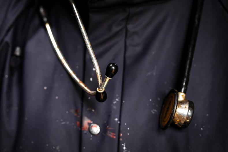 New president and deputy president of Veterinary Council of Ireland