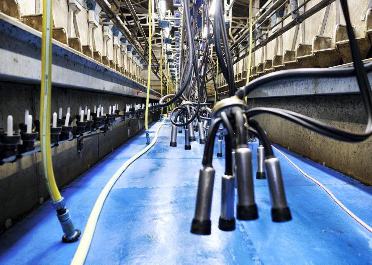 Communication is the key to good labour relations