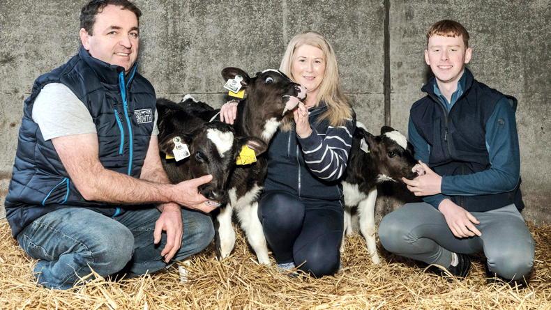 Consistency and performance at the heart of calf rearing in Co Kerry