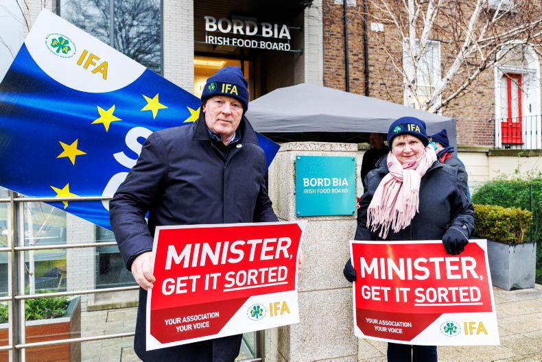 IFA's Bord Bia protest rolls over into day two