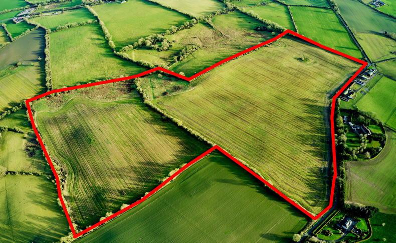 Top quality Royal County land attracting ‘good interest’       
