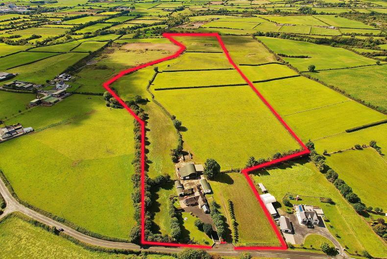 March auction for compact turnkey farm for €800,000