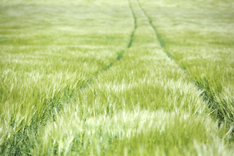 More malting contract cuts for Boortmalt suppliers