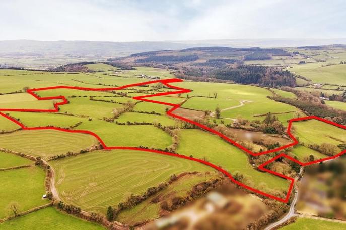 Dungarvan holding comes with a €800,000 price tag
