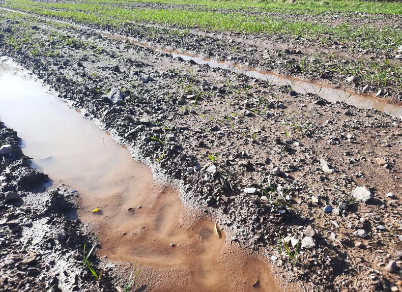 Tillage Management: rain, wet land and price offers
