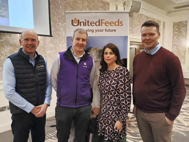 Most NI dairy cows can produce more milk