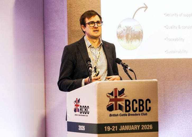 Breeding suckler cows that work hard