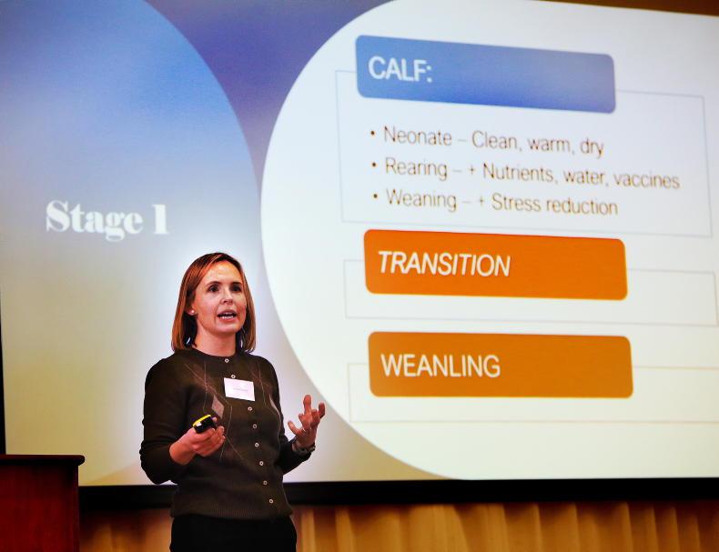 Vaccines ‘non-negotiable’ for calves, says vet