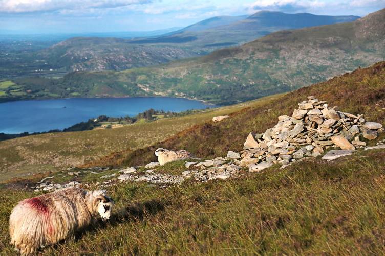 Approval issuing for ACRES landscape actions