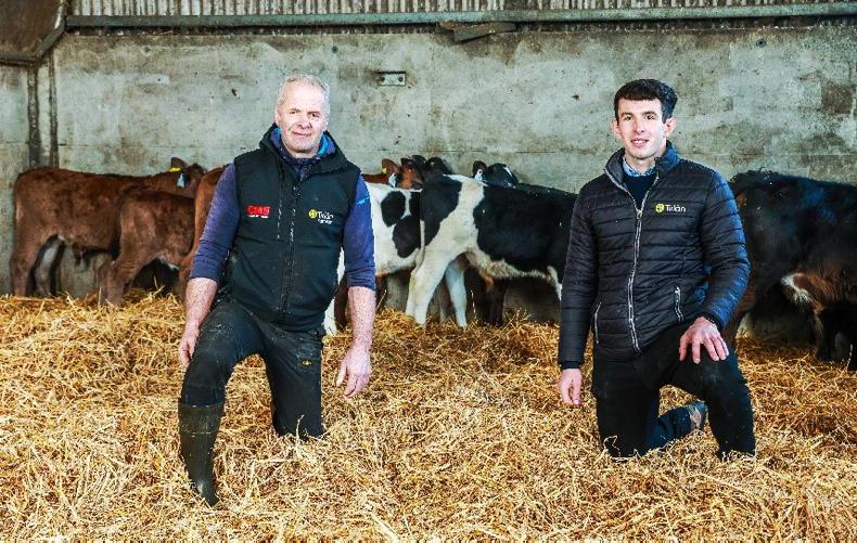 Laois dairy farmer boosts calf performance with GAIN Easi Mix