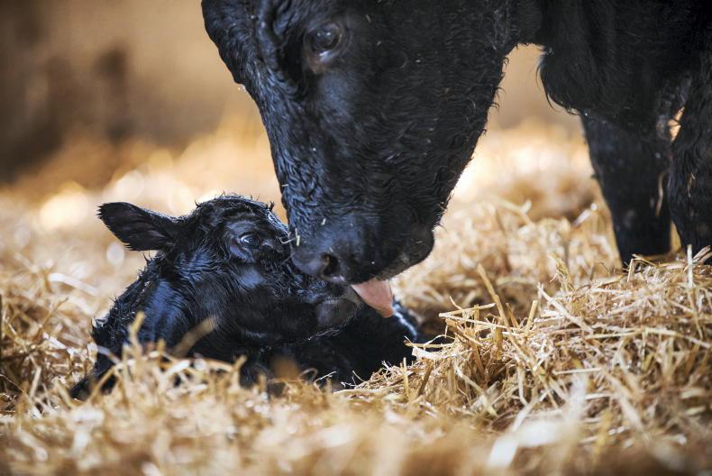 News round-up from Northern Ireland