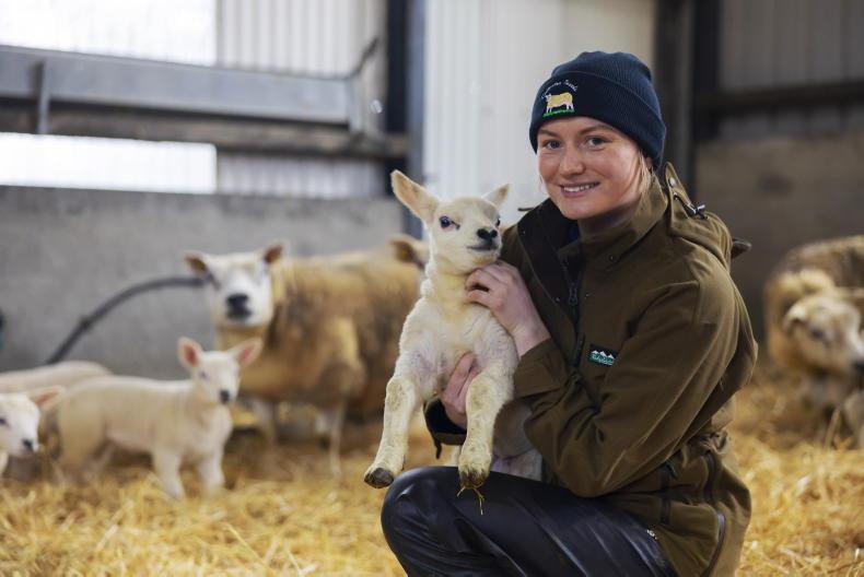 My Farming Week: Gillian Earle, Cullentra, Ballycanew, Gorey, Co Wexford 