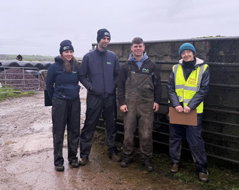 Getting ready for grazing in Co Cork