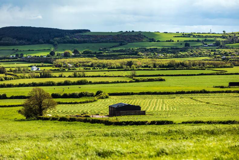 Land prices lift 3% to €12,876/ac