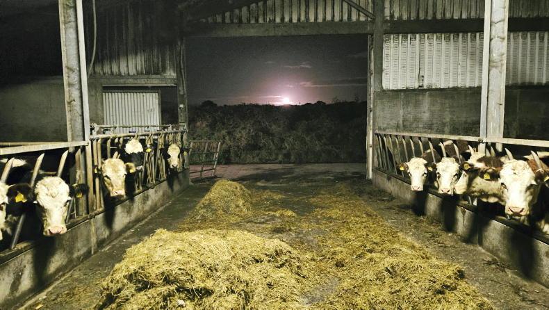 Farmer Writes: incessant rain can go away now please