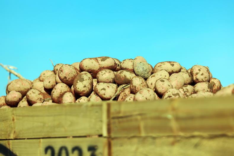 Carting off kartoffeln                                                          