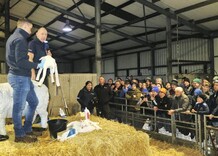 Patience and gentle approach needed for lambing
