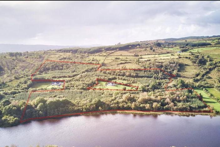 Land Report: Dairy farmers’ wings may be clipped in 2026