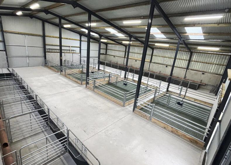 Superb finish to slatted sheep shed in Donegal