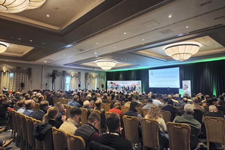 Dempsey at Large:  New era of ample world grain supplies