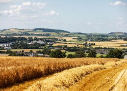 Call for Minister and Diageo to take action on Boortmalt decision