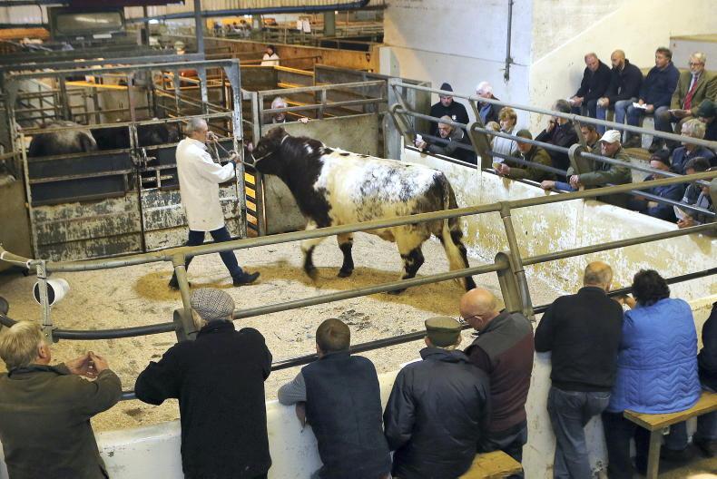 Northern Ireland diary of events