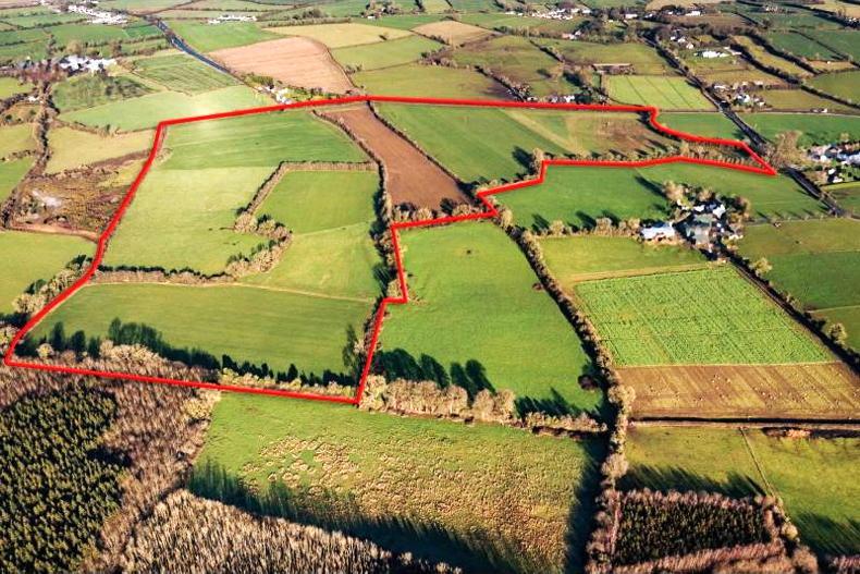Convenient Offaly land block for auction                      