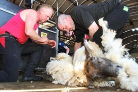 Ulster Wool and YFCU renew partnership