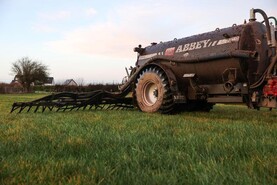 Beef Management: slurry, SCEP and grading cattle