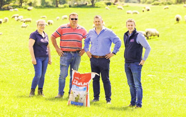 Offaly farmer Anne Marie Butterfield shares her approach to rearing lambs