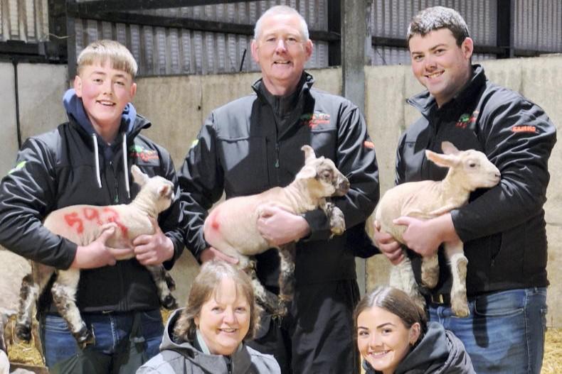 Lambing early to juggle a busy workload