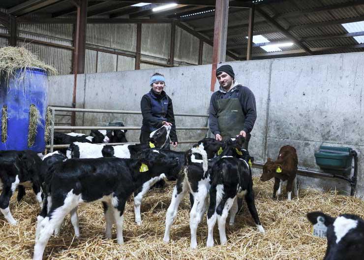 My Farming Week: Pádraig Brennan, Lurganross, Ballingarry, Co Tipperary