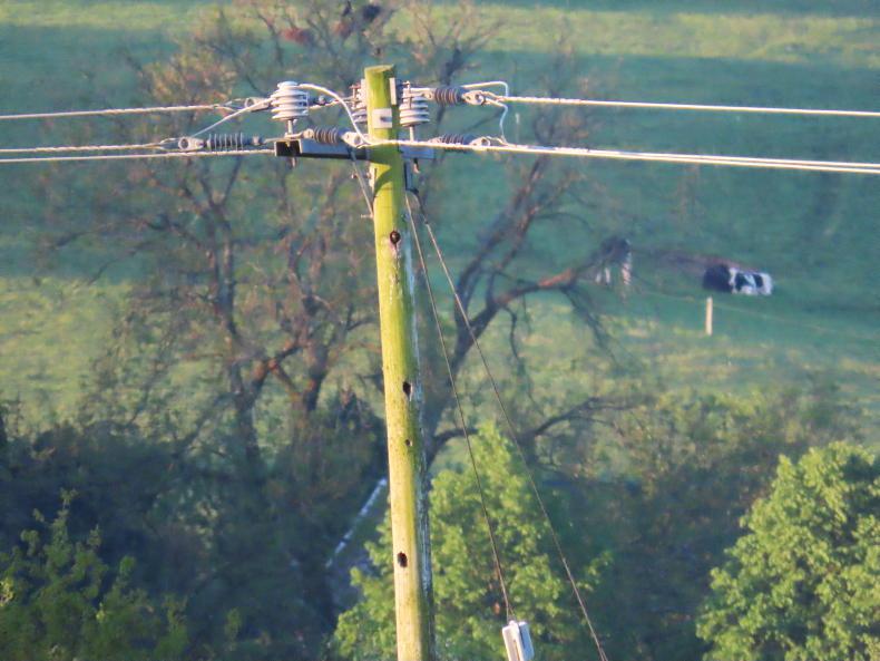 Invaders take power in Sixmilebridge 