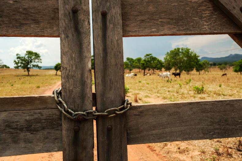 New Mercosur safeguards could see lower tariffs suspended