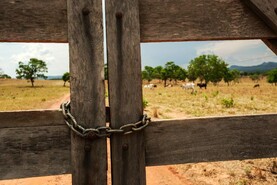 New Mercosur safeguards could see lower tariffs suspended