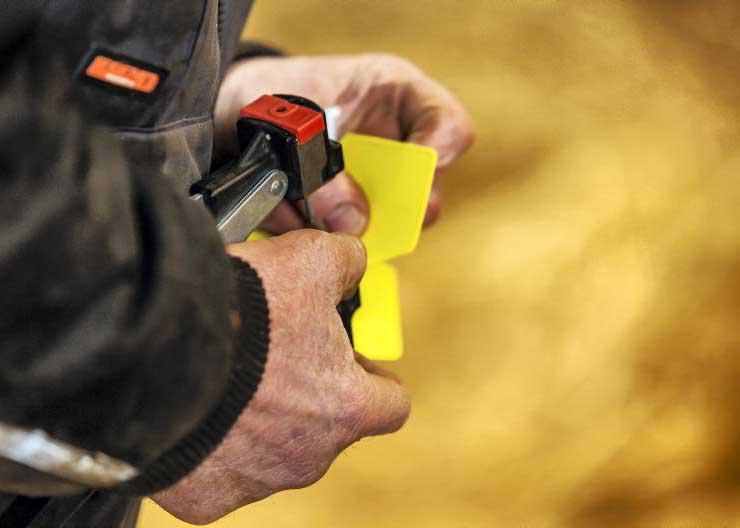 Postal problems hit BVD and genotyping schemes