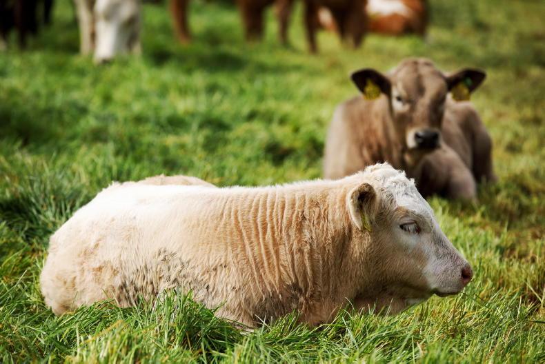 Over 250 more farmers join the Organic Farming Scheme