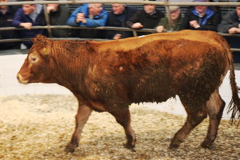 Martbids Database: averages hold steady across the board