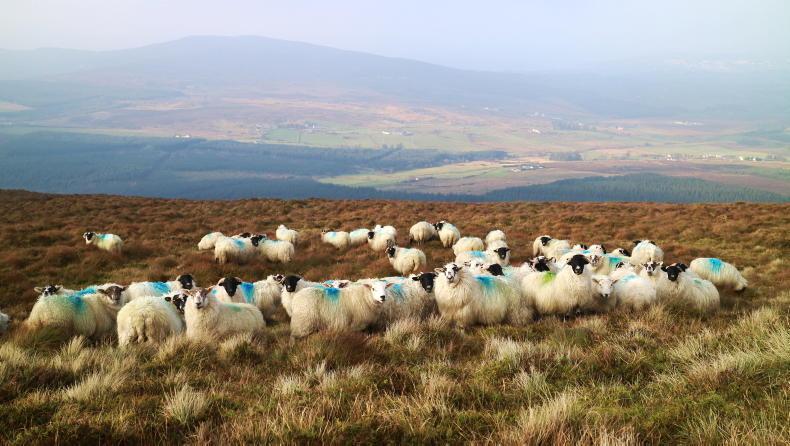 Second window opened for the ACRES landscape actions