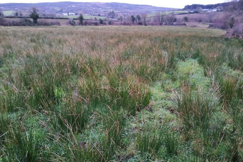 New eligible areas on maps by 2 March