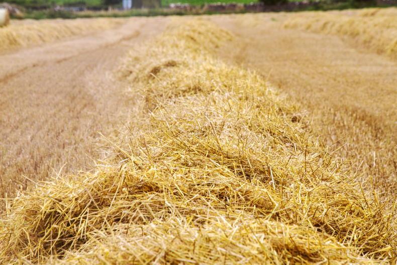 Over 15,000t of straw imported in three months
