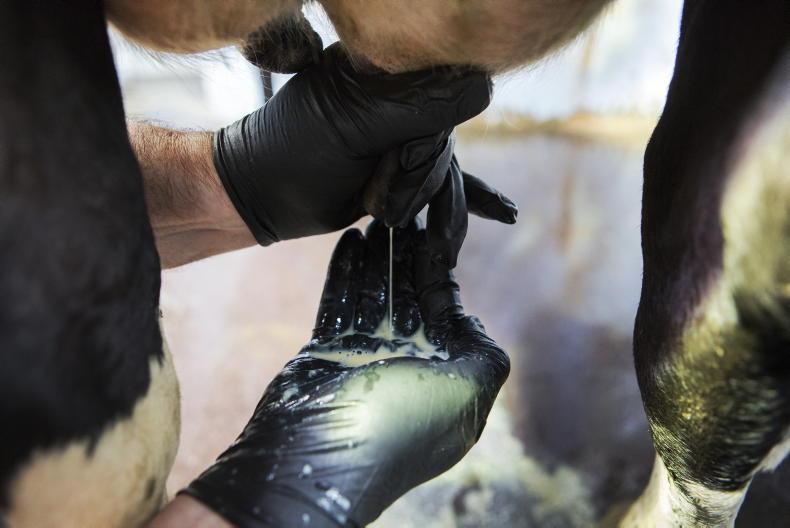 The 1-2-3 process for dealing with mastitis in dairy herds this spring